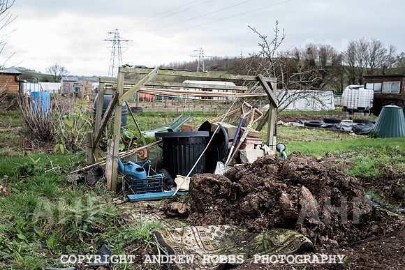 Williton Allotment-6970