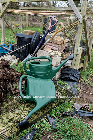 Williton Allotment-6971