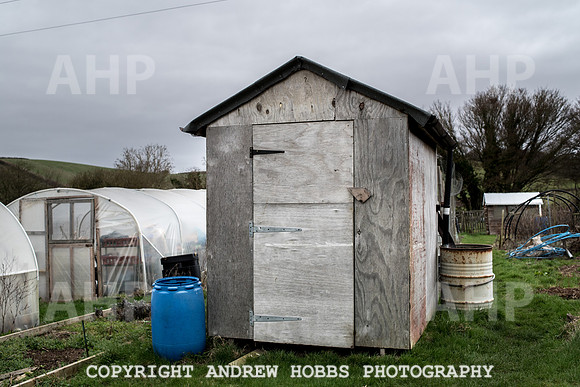 Williton Allotment-6981