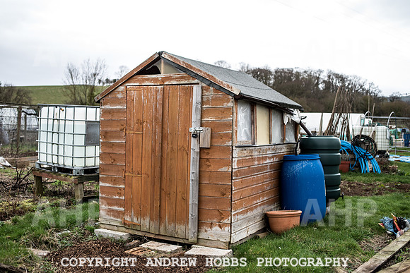 Williton Allotment-6984