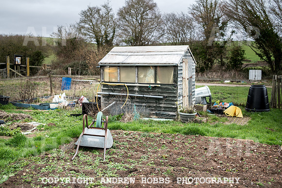 Williton Allotment-6985
