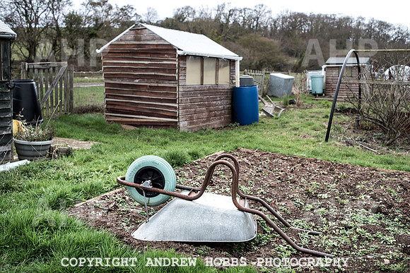 Williton Allotment-6987