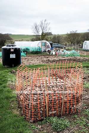Williton Allotment-6995