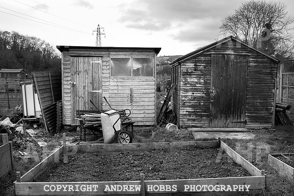Williton Allotment-6997