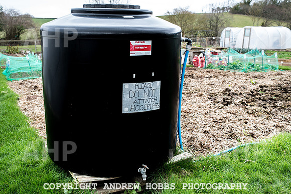 Williton Allotment-7001
