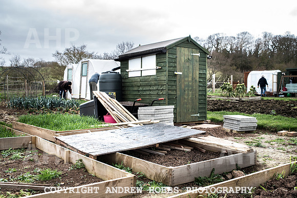 Williton Allotment-7006
