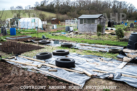 Williton Allotment-7009