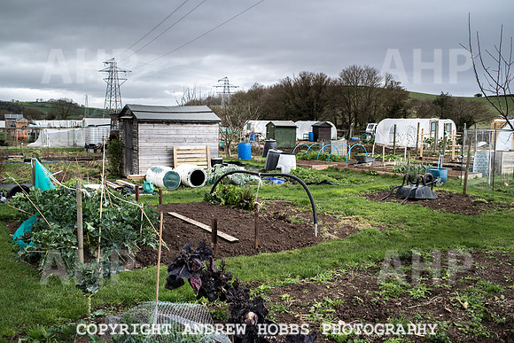 Williton Allotment-7015