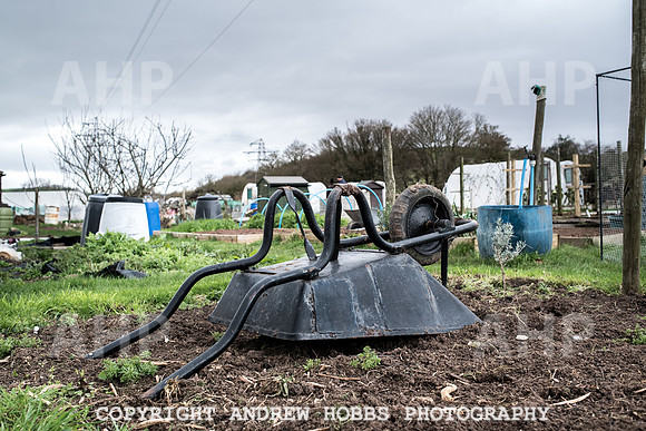 Williton Allotment-7021