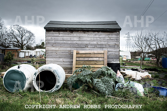 Williton Allotment-7023