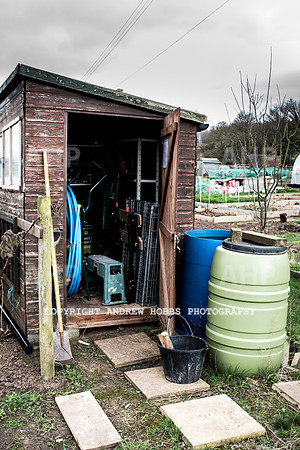 Williton Allotment-7029