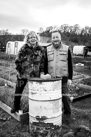 Williton Allotment-7036