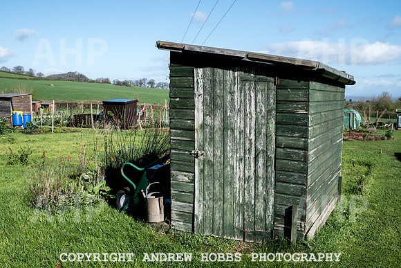 Carhampton Allotment-7811