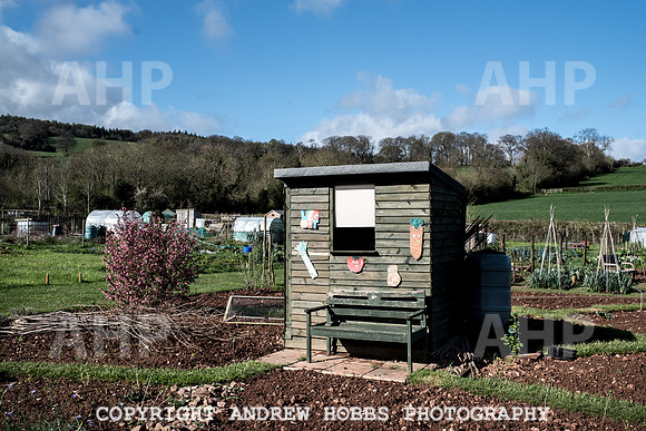 Carhampton Allotment-7812