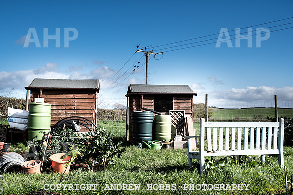 Carhampton Allotment-7816