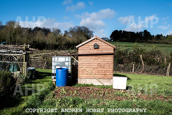 Carhampton Allotment-7817
