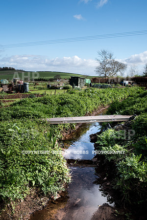 Carhampton Allotment-7825