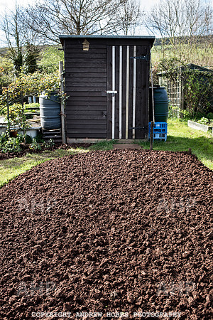 Carhampton Allotment-7826
