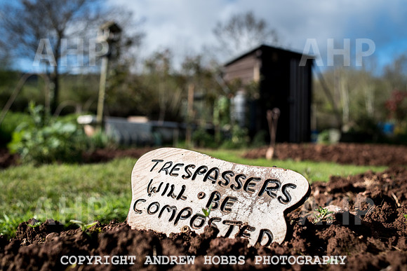Carhampton Allotment-7828
