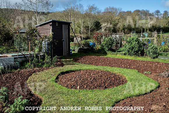 Carhampton Allotment-7829