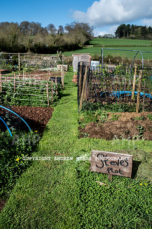Carhampton Allotment-7830