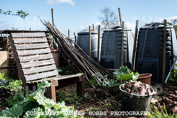 Carhampton Allotment-7831
