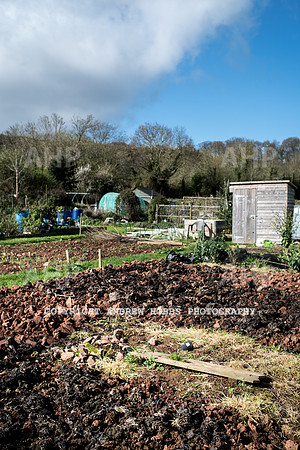 Carhampton Allotment-7833