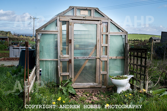 Carhampton Allotment-7834