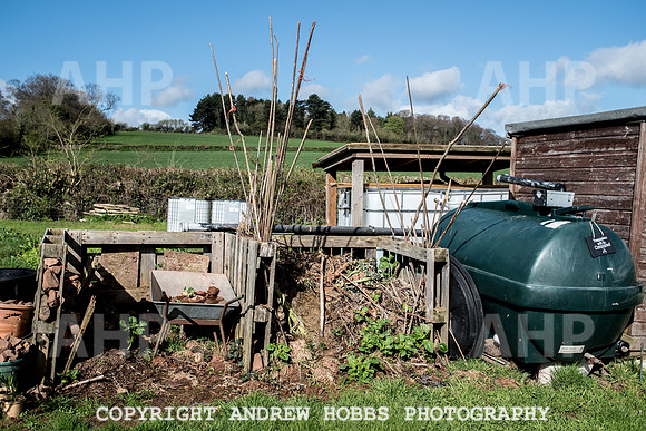 Carhampton Allotment-7839