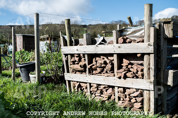 Carhampton Allotment-7842