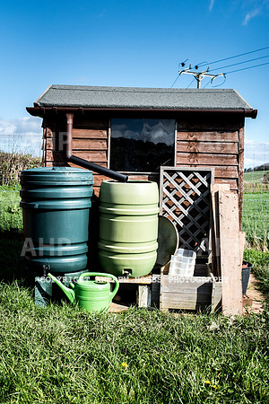 Carhampton Allotment-7849