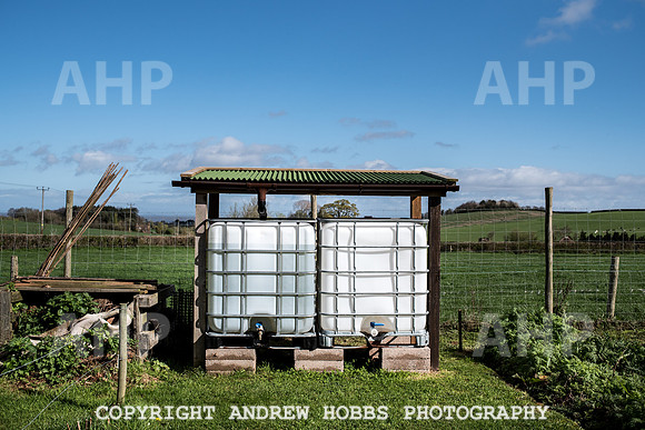 Carhampton Allotment-7855