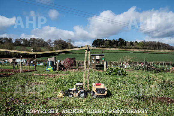 Carhampton Allotment-7860