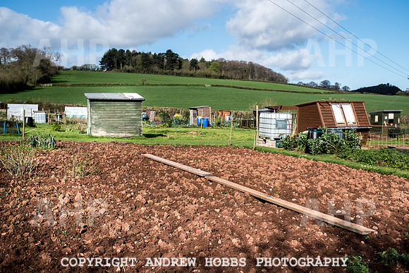 Carhampton Allotment-7861