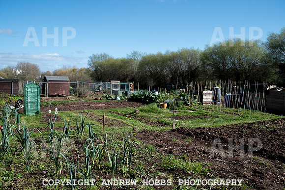 Minehead Allotments-7884