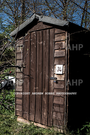Minehead Allotments-7885