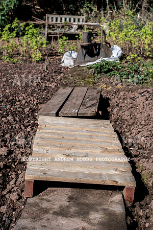 Minehead Allotments-7895