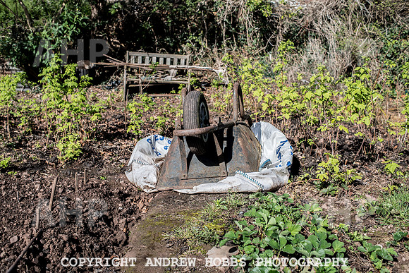 Minehead Allotments-7896