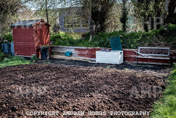 Minehead Allotments-7901