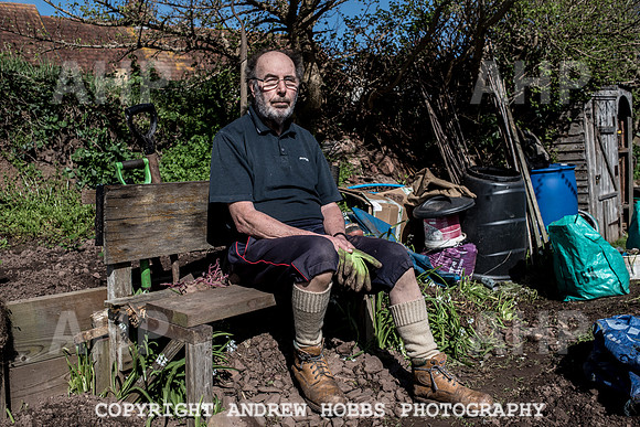 Minehead Allotments-7906