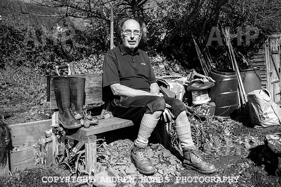 Minehead Allotments-7912