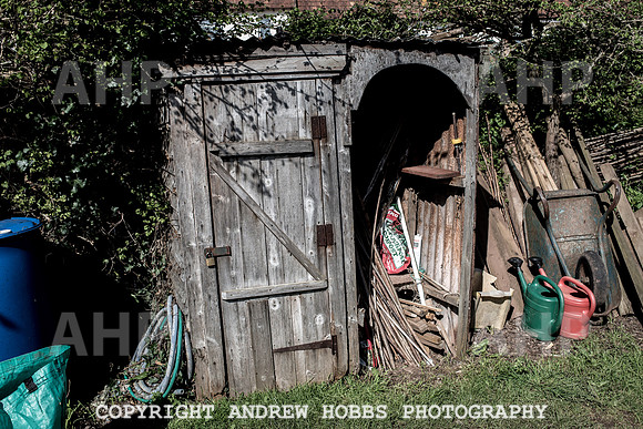 Minehead Allotments-7915