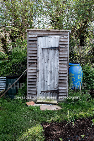 Minehead Allotments-7919