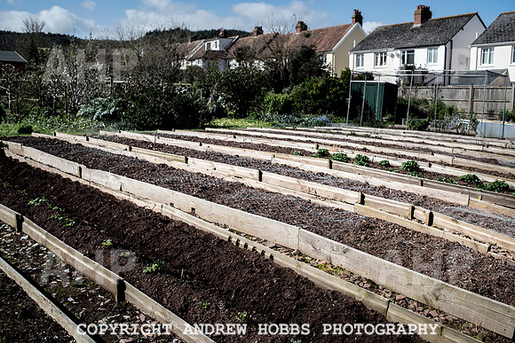 Minehead Allotments-7924