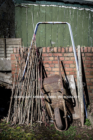 Minehead Allotments-7925