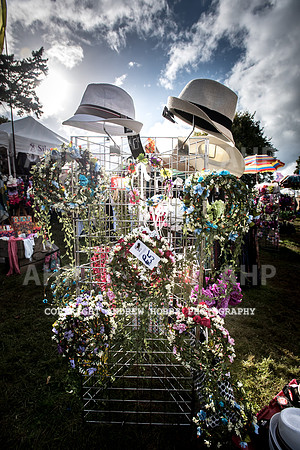 Beautiful Days 2017HOB_1909