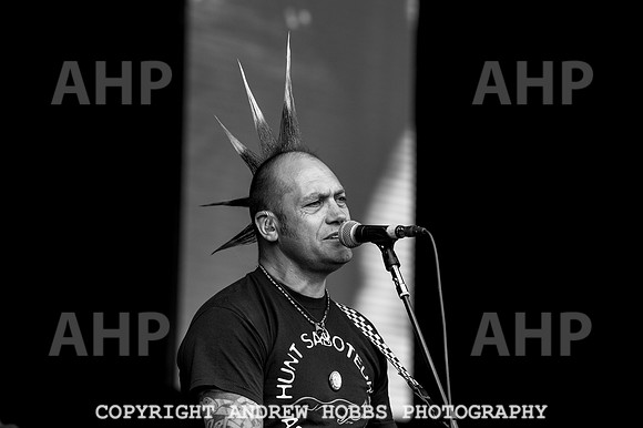 Beautiful Days 2017_AHP_2906