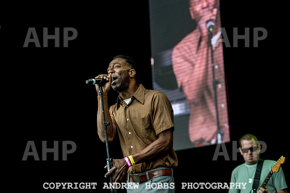 Beautiful Days 2017_AHP_3432