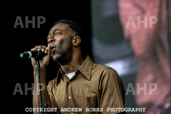 Beautiful Days 2017_AHP_3429