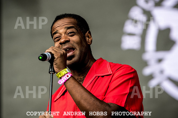Beautiful Days 2017_AHP_3437